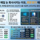 영미디어랩 | 당신이 매일 눈 혹사시키는 이유, 화면 밝기 때문이었습니다