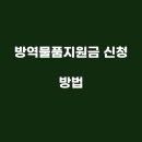 오늘의 방역 이미지