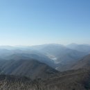 태종농장 이미지