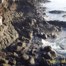 한라산콘도미니엄 이미지