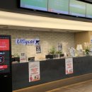 안월선 민박 코리아, 제주 이미지