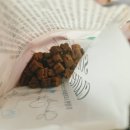 라온 소프트 | 🐾사료 샘플 후기｜Trumpet 소프트 클로버, 말랑한 식감에 강아지 원픽 등극