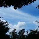 동심(童心)2 이미지