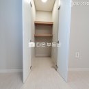 아델리아 이미지