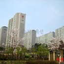 용인신봉동우체국 네이버블로그