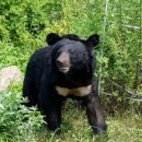 충남농장 이미지