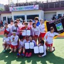 동해웰빙레포츠타운 하키장 이미지