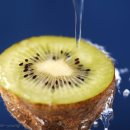 사진촬영 이미지