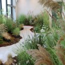 (주)플래닛 이미지