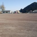 정동진백악관 이미지