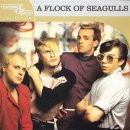 A Flock Of Seagulls - The More You Live, The More You Love 이미지