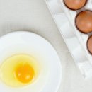 따봉농장 이미지