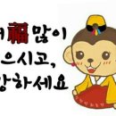 선화농장 네이버블로그