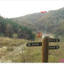 깜봉산 정상 이미지