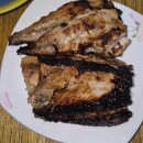 2-6. 5-6주차다 벌써;; 안산 개맛집과 함께 컴백HOME