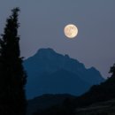 요가MOON 이미지