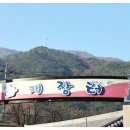 화개장터 | 딱딱하지 않고 부드러운 인생 과즐 발견! 화개장터 먹거리 후기