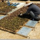 고운 농장 이미지