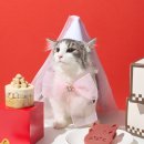 애니콩 주식회사 농업회사법인 이미지