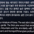 영월-75