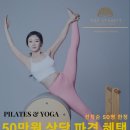 필라스타 이미지