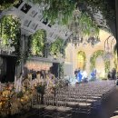 골든결혼정보 | [결혼준비] 웨딩플래너 동행 vs 비동행 비교, 차이, 업체별 특징 정리