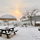 들꽃연가 이미지