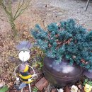 성주 산그늘펜션 이미지