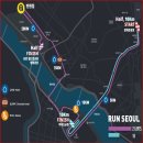 서수원자이(아) | 2025 서울하프마라톤 10KM 완주 후 솔직후기