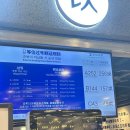 중국 상해여행 필수코스 헌지우이치엔 웨이팅 견디고 맛본 후기