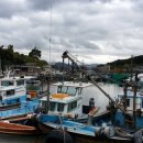 구복마을회관 이미지