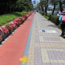 갈맷길(2코스) 이미지