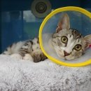 다란동물병원 이미지