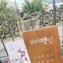 제주보배 이미지