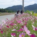 소라면사무소 이미지
