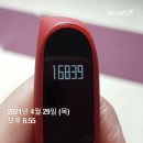 11번 행복한달팽이 4.29.목 이미지