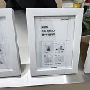 범지기마을408동건너편 | 인생샷 건져야 하는데 너무 귀찮을 때 특급 솔루션이 있다고요?