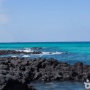 (주)제주국제여행사 이미지