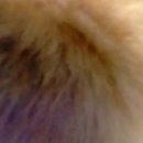 운산리축사 | 팔넷!