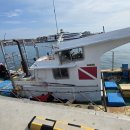 추자다이브민박 이미지