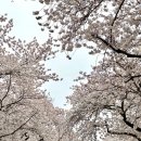 경주 키즈 풀빌라 추천 경주 윤스토리풀빌라1박 후기 :^)