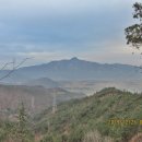 서광 태양광발전소 이미지