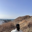 3058 | 포항 가족 여행 숙소 추천 | TITF 카라반 이용 후기