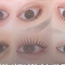 진주뷰티