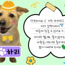 안녕,하리! 이미지