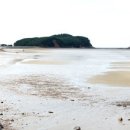 소나무비치민박 이미지