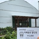 송아지농장 | 강릉아이랑 가야할곳 강릉체험 대관령아기동물농장 - 강릉동물원이 있다.