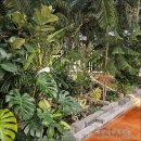 가-61 | 동두천 대형카페 하패리61