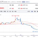 에스에이티태양광발전소 이미지