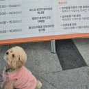 청운펫